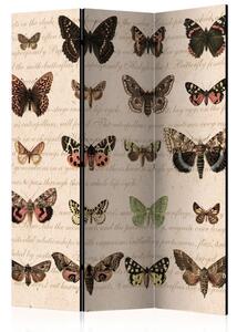 Paraván - Retro styl: Motýli 135x172