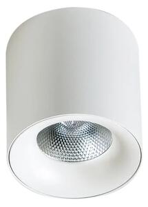 LED bodové světlo Mane 20W bílé – Bílá