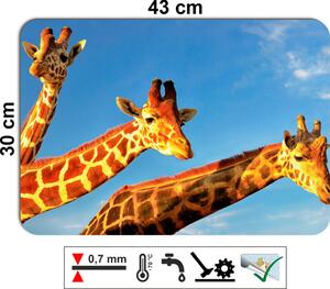 Prostírání - 385, Žirafa