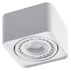 Bodové světlo Paola 1 230V bílé – Bílá