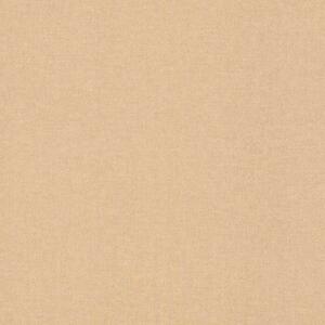 RASCH | Vliesová tapeta na zeď Kids World 2 252866 | 0,53 x 10,05 m | hnědá