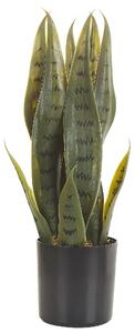 Umělá rostlina SNAKE PLANT 40 cm Zelená