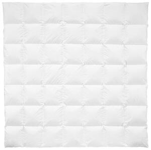 CELOROČNÍ PŘIKRÝVKA, 200/200 cm, prachové peří Billerbeck - Přikrývky