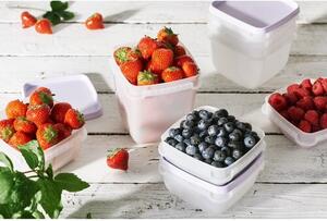 SmartStore Sada plastových dóz Freezer 4 ks, levandule, 750 ml, 750 ml