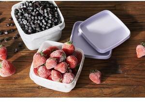 SmartStore Sada plastových dóz Freezer 4 ks, levandule, 750 ml, 750 ml