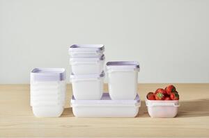 SmartStore Sada plastových dóz Freezer 4 ks, levandule, 750 ml, 750 ml