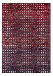 Koberec Royal cherry red/navy 160x230 cm
