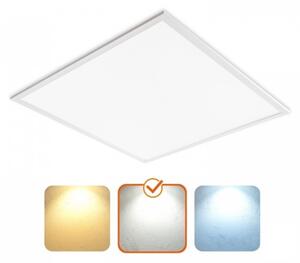 LED Podhledový panel DAVRO LED/40W/230V 4000K 62x62 cm bílá