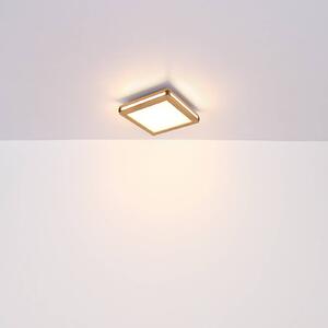 LED stropní svítidlo Karla square 30x30 cm