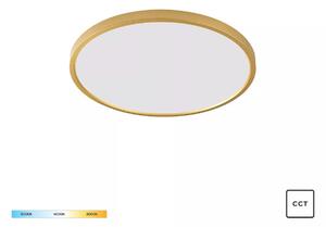 Zuma Line WM-BP1108-S-G LED přisazené stropní svítidlo CAMI | 36W integrovaný LED zdroj | 3000/4000/6000K