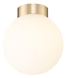 Zuma Line C0574-01D-F7AA přisazené stropní svítidlo ARCTURUS | 4W G9