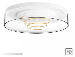 Zuma Line 1004 LED přisazené stropní svítidlo NOLAN | 17W integrovaný LED zdroj | 2700K