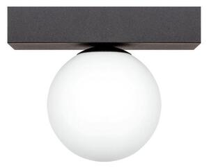 Zuma Line 133867-029048 přisazené stropní svítidlo SPHERE G9