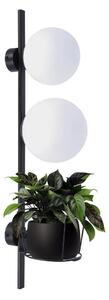Designové nástěnné svítidlo Plant
