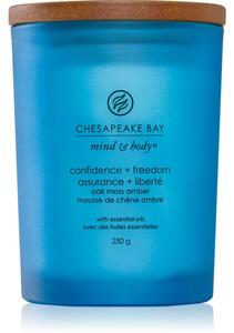 Chesapeake Bay Candle Mind & Body Confidence & Freedom vonná svíčka 250 g