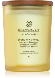 Chesapeake Bay Candle Mind & Body Strength & Energy vonná svíčka 250 g
