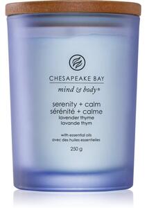 Chesapeake Bay Candle Mind & Body Serenity & Calm vonná svíčka 250 g