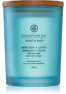 Chesapeake Bay Candle Mind & Body Reflection & Clarity vonná svíčka 250 g