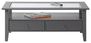 Inter Link Konferenční stůl s bezpečnostním sklem (115 x 60 x 45 cm, šedá) (100351859004)