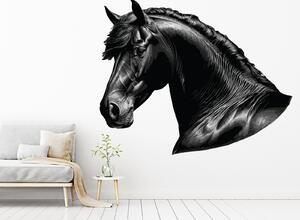 Hlava koně arch 75 x 61 cm