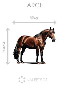 Kůň arch 45 x 39 cm