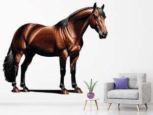 Kůň arch 45 x 39 cm
