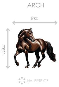 Klusající kůň arch 45 x 43 cm