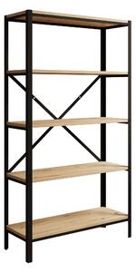 ADRK Regál na knihy RENE BA 80, dub artisan/černá