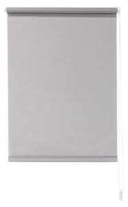 LIVARNO home Roleta pro denní světlo, 60 x 150 cm (šedá) (100373073002)