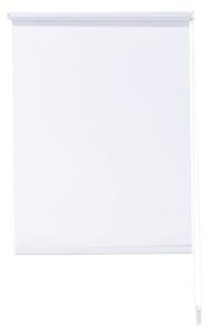 LIVARNO home Roleta pro denní světlo, 60 x 150 cm (bílá) (100373073001)
