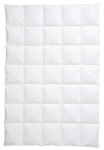 CELOROČNÍ PŘIKRÝVKA, 155/220 cm, prachové peří, peří Centa-Star - Přikrývky, Online Only