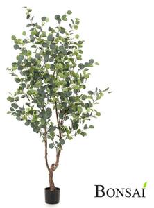 Umělý eukalyptus 180 cm – realistická dekorace - 151 - 180 cm