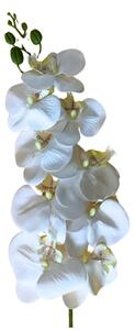 Umělá větev orchideje bílá 97 cm – Real Touch - Bílá - 91 - 120 cm