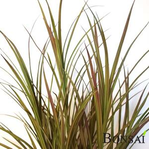 Umělá tráva v květináči, červenavá barva, výška 90 cm - 71 - 90 cm