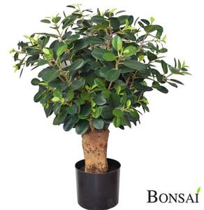Umělý bonsaj Fikus Botanika 70 cm – japonská dekorace - 51 - 70 cm