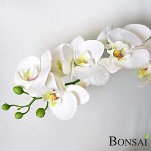 Umělá bílá orchidej 60 cm – v květináči - Bílá - 51 - 70 cm