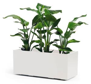 Bílá žardiniéra Nature 100 x 40 cm – moderní květináč - 31 - 50 cm