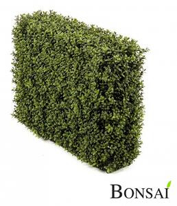 Umělý živý plot šimšir 70 cm s UV ochranou – soukromí bez starostí - 31 - 50 cm