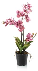 Umělá orchidej Vanessa 70 cm růžová – elegantní dekorace - Růžová - 51 - 70 cm