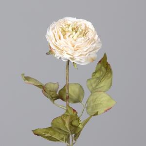 Umělá růže Dry Look 50 cm krémová – elegantní dekorace