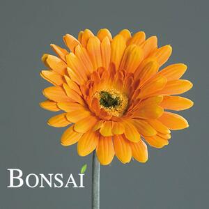 Umělá gerbera oranžové barvy, výška 56 cm - Oranžová