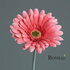 Umělá gerbera růžové barvy, výška 56 cm - Růžová