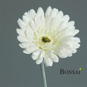 Umělá gerbera bílé barvy, výška 56 cm