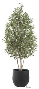 Umělá oliva, výška 170 cm - 151 - 180 cm
