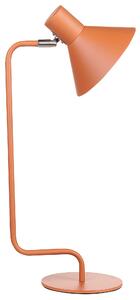 Stolní lampa RIMAVA Nastavitelná Kov Oranžová
