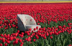 Hoorns Béžové sametové křeslo Tergi s květinovým vzorem