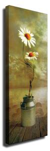 Wallity Obraz na plátně Daisy dream PC164 30x80 cm