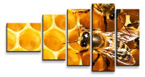 Sablio Obraz - 5-dílný Včely - 100x60 cm