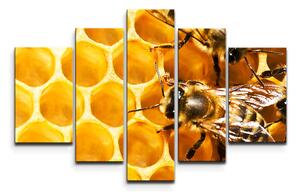 Sablio Obraz - 5-dílný Včely - 125x90 cm
