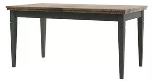 Jídelní stůl Elvina Typ 92 (tmavě zelená + dub lefkas) (pro 8 a více osob). Vlastní profesionální přeprava až k Vám domů 1022386